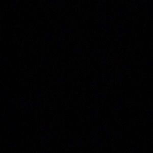 Meet your Posher, Tommie